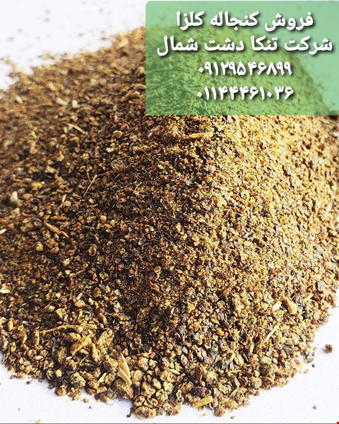 فروش کنجاله کلزا-صنایع کشاورزی- دامداری
