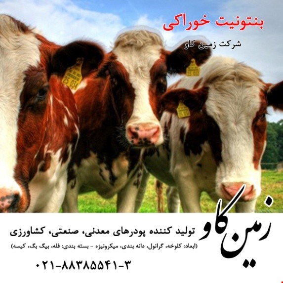 خواص بنتونیت در خوراک دام - مواد معدنی