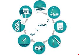 مشاوره صنعت معدن تجارت هرمزگان