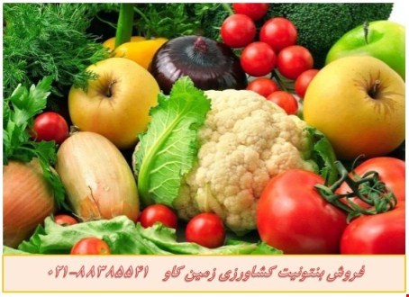 بنتونیت در صنعت کشاورزی Bentonite