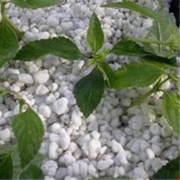 خرید و فروش معدنی صنعتی-فروش پرلیت