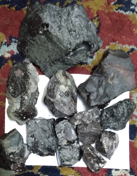 فروش شهاب سنگهای مریخی،ماه وآهنی.