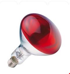 فروش لامپ مادون قرمز  - صنایع برقی