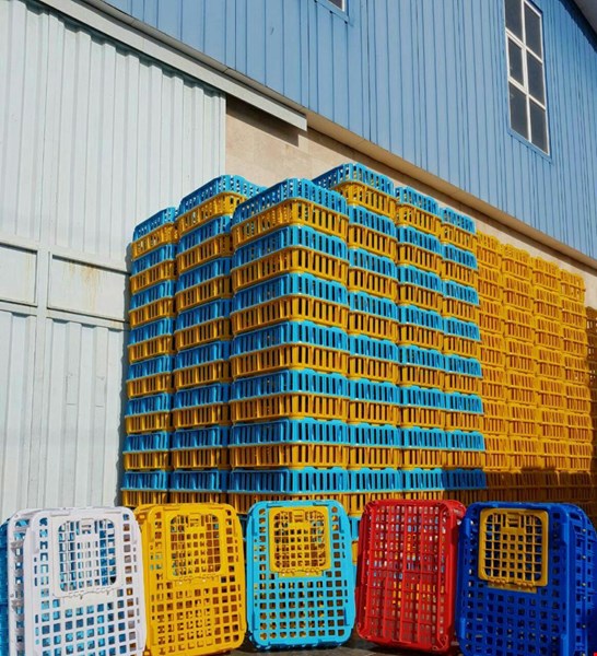 قفس مرغی ، قفس حمل مرغ زنده ،جعبه مرغ