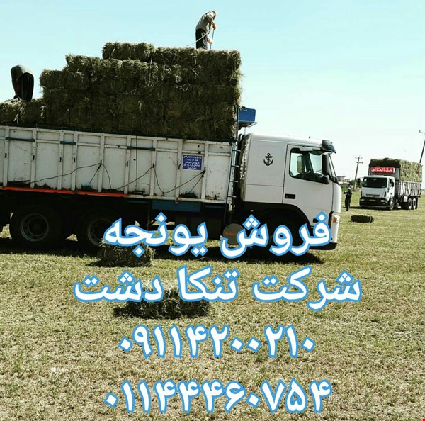 خرید و فروش-صنعتی-فروش یونجه پرسی