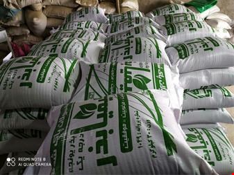 فروش مستقیم بذر یونجه سردسیری و گرمسیری