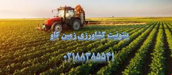 مزیت های استفاده از بنتونیت در کشاورزی