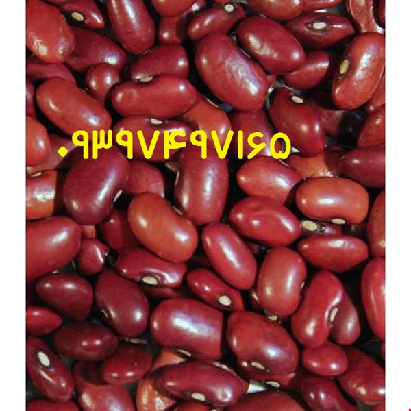 خرید لوبیا قرمز عمده ارزان