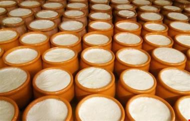 فروش استابلایزر ماست قالبی