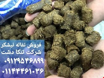صنایع کشاورزی - فروش تفاله یا باگاس نیشکر خوراک دام