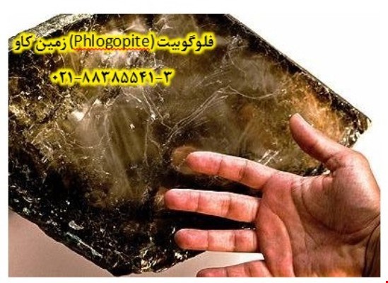 فلوگوبیت زمین کاو چیست؟ Phlogopite