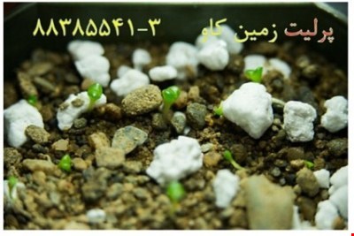 مزایای استفاده از پرلیت در کشاورزی Perlite