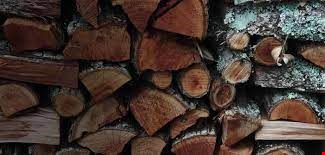 انواع چوب - صنایع چوب و کاغذ