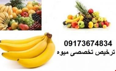  اروین آذرنگ جنوب (بهزاد پورشعبان): ترخیص کالا ، ترخیص میوه از بوشهر