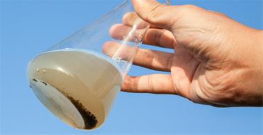 خرید و فروش مواد معدنی  اسیدسولفوریک98%