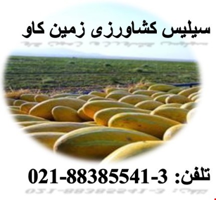 مزیت های استفاده از سیلیس کشاورزی زمین کاو مواد معدنی سیلیس دار
