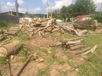 خرید و فروش املاک صنعتی-فروش زمین صنعتی در استان گیلان