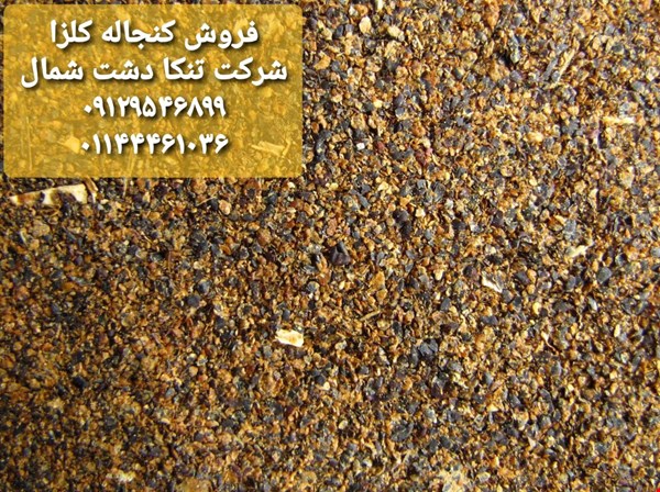 فروش کنجاله کلزا خوراک دام و طیور و آبزیان-کشاورزی- دامداری