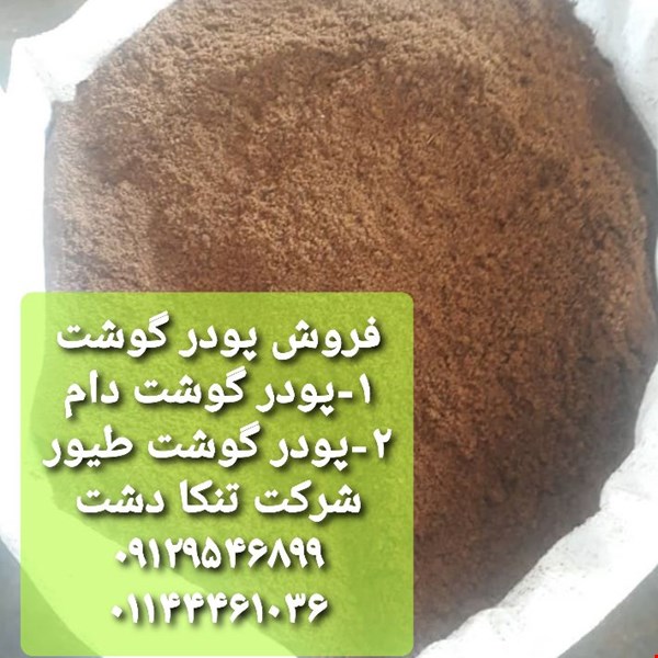 پودر گوشت تنکا دشت شمال