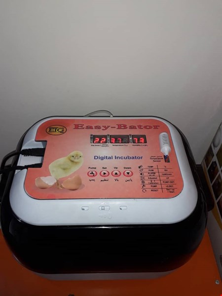 فروش دستگاه های جوجه کشی خانگی و صنعتی