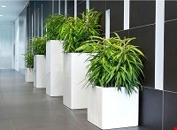 گلدان مدرن فایبرگلاس