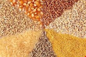 خوراک دام - کشاورزی - شامل جوذرت سبوس کنجاله مواد معدنی