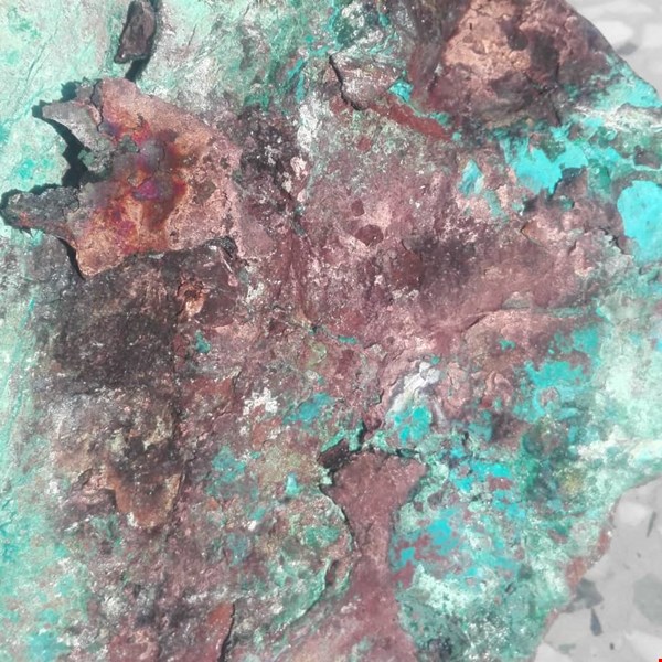 متقاضی شراکت در مس شاهرود