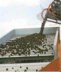 پوکه معدنی  - مواد معدنی 