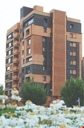 خدمات-اعطای نمایندگی انحصاری آجر نماچین ، آجر نما