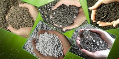 کود ورمی کمپوست و خاک برگ چیکال - چیکال کود