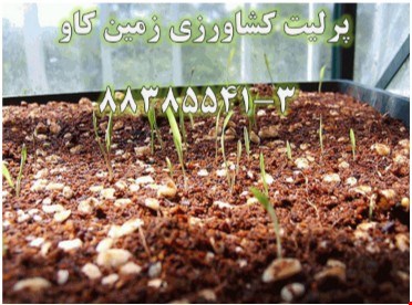 پرلیت و مزایای آن در کشاورزی Perlite