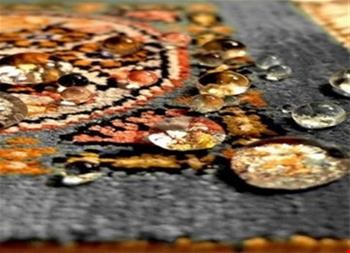 محلول نانو آنتی باکتریال فرش