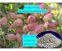 خرید و فروش معدنی صنعتی- فروش زئولیت در کاشت درخت پسته