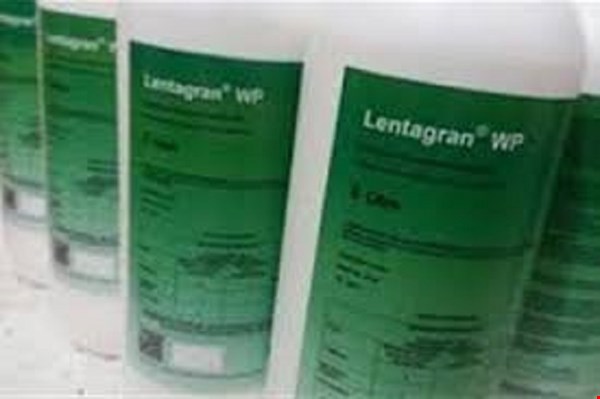 فروش سم علف کش نخود لنتاگران