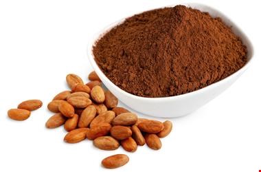 خرید و فروش -واردات پودر کاکائو 
