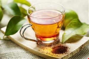 گیاهان دارویی صدرا 