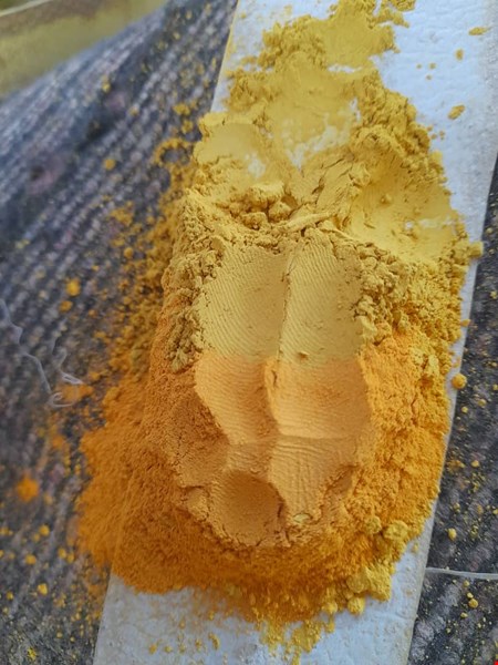 فروش ویژه - زرنیخ - مواد معدنی- زرنیخ شاخه زرد طلایی- 