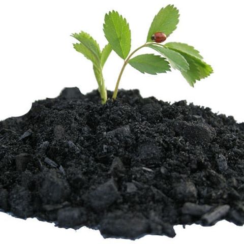 خرید و فروش معدن و مواد معدنی لئوناردیت