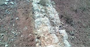 درخواست مشاوره برای منطقه قرق دماوند