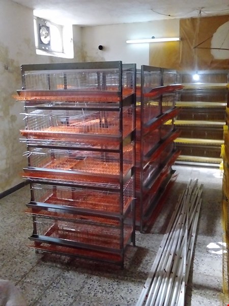 فروش قفس مرغ تخم گذار