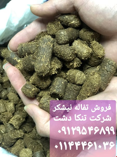 فروش باگاس یا تفاله نیشکر خوراک دام