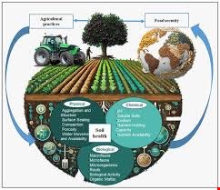 Direct supply of industrial, mineral and agricultural chemicals
